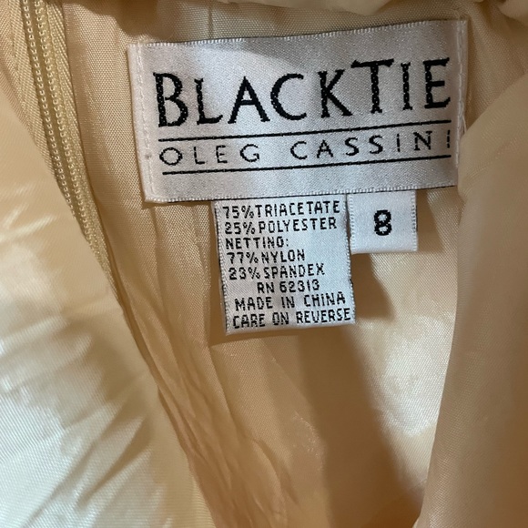 Vintage Blacktie Oleg Cassini nude champagne gala holiday dress - Picture 9 of 16